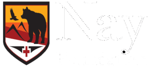 Nay Foundation Logo